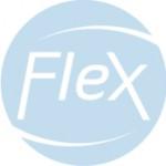 Logo Technologie Flex