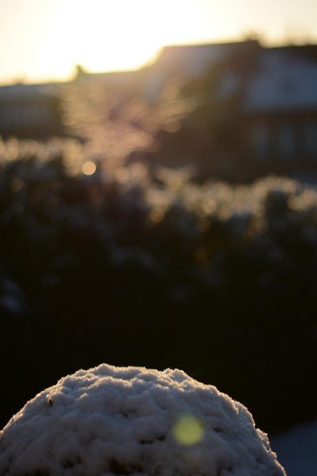 Premiers flocons Premiers flocons