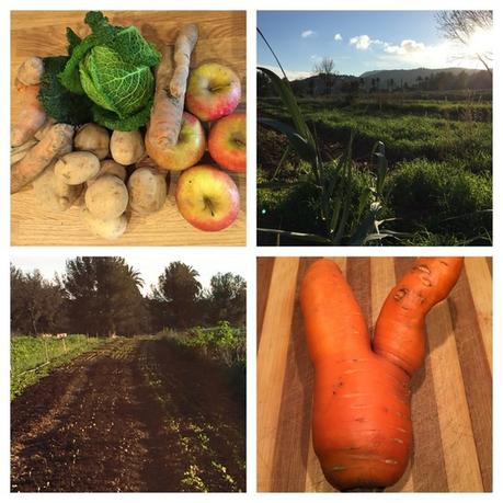 Les Circuits Courts #5 : Le Domaine de Fabrégas