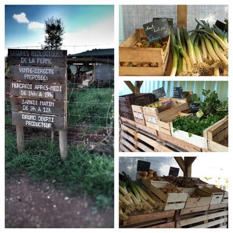 Les Circuits Courts #5 : Le Domaine de Fabrégas