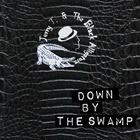 Jerry T.  and the black Alligators – Down by the swamp
