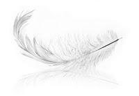 Skier comme une plume ...