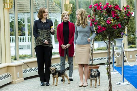 Unleashing Mr Darcy : une adaptation TV  au poil du roman Mr Darcy What Else de Teri Wilson