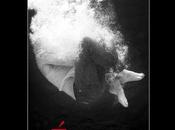 Evangile pour gueux éditions Viviane Hamy commencent bien l'année 2016!!