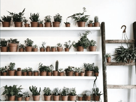 Top 5 des tendances déco à adopter en 2016