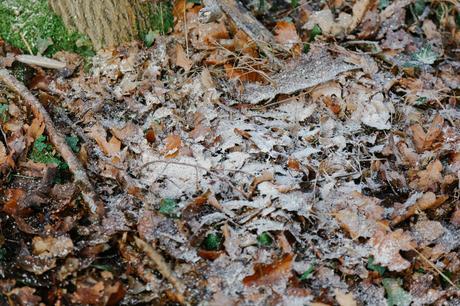 les dessous du studio adc