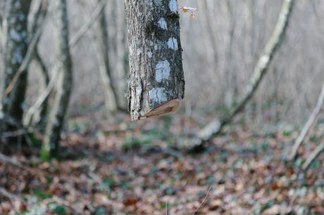 les dessous du studio adc