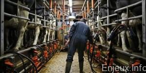 Les éleveurs français portent plainte contre l’Allemagne pour fraude à la TVA