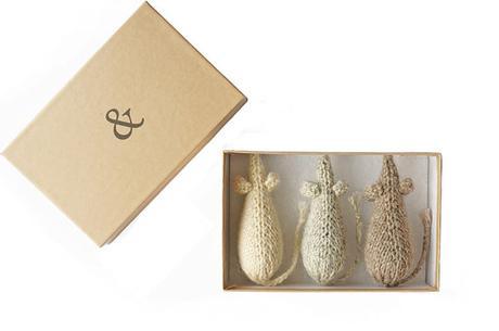 Quelques règles de bases avant d'adopter un minet Quelques règles de bases avant d'adopter un minet