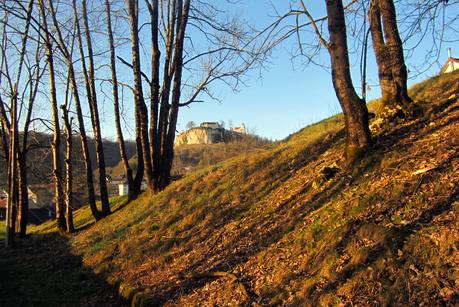 Une petite mousse s'il vous plait...!