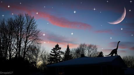 Petit coin du ciel Petit coin du ciel