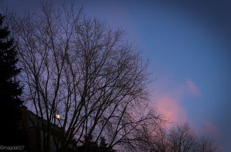 Petit coin du ciel Petit coin du ciel