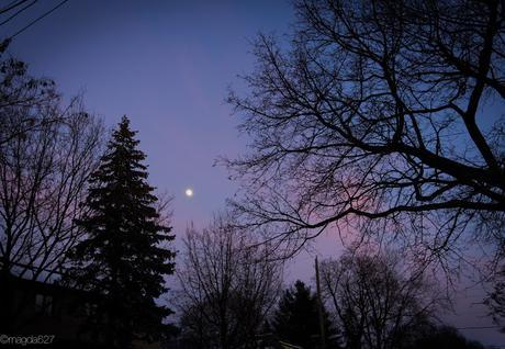 Petit coin du ciel Petit coin du ciel