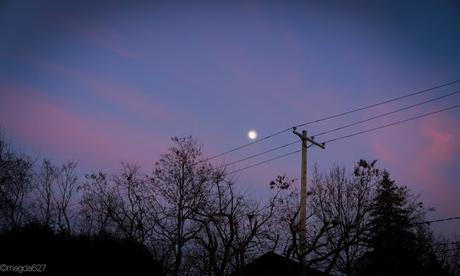 Petit coin du ciel Petit coin du ciel