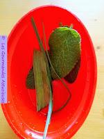 Pâté végétal à la Bourrache (Vegan)