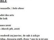 Galerie Kamel MENNOUR PIER PAOLO CALZOLARI Janvier Mars 2016