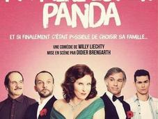 Théâtre Valérie Mairesse Paul Belmondo Tournée dans Mère Panda