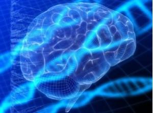 AUTISME: Le gène en moins qui fait perdre 25 points de Q.I. – JAMA Psychiatry