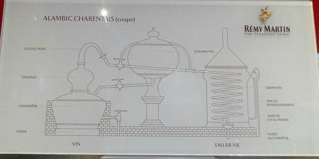 La saison de la distillation au pays du Cognac