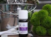 L’arbre ingrédient essentiel routine