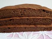 gâteau yaourt hyperprotéiné pomme cacao avec soja teff amarante (sans gluten sucre beurre lait, riche fibres)