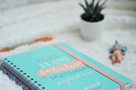 mon bullet journal , ma vie & moi .