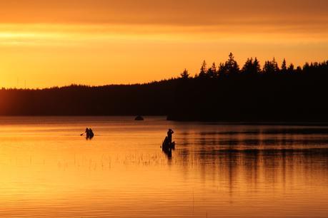 Sens Inverse Voyages Ecotourisme : SUEDE