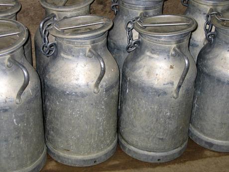 Crise agricole : « La responsabilité des industriels du lait est énorme » JPEG - 167 ko