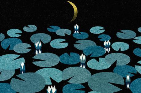 Water Lily