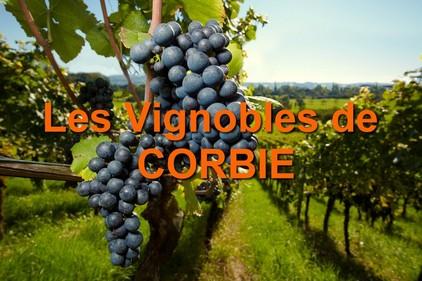 [Corbie] Vignobles et vin de Corbie
