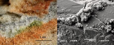 À gauche : section de roche colonisée par des microorganismes cryptoendolithiques ; à droite : Cryomyces dans des cristaux de quartz au microscope électronique -- Crédit : S. Onofri et al.