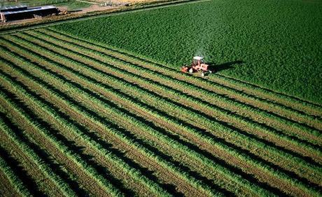 Des Polonais investissent l’agriculture à Oran