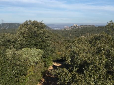 Un samedi de janvier dans le Gard