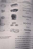 The Selected Works of T.S. Spivet