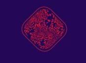 roman vibrant: N'oublie respirer d'Hélène Frappat