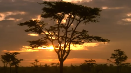 Merveilles de notre planète