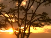 Merveilles notre planète