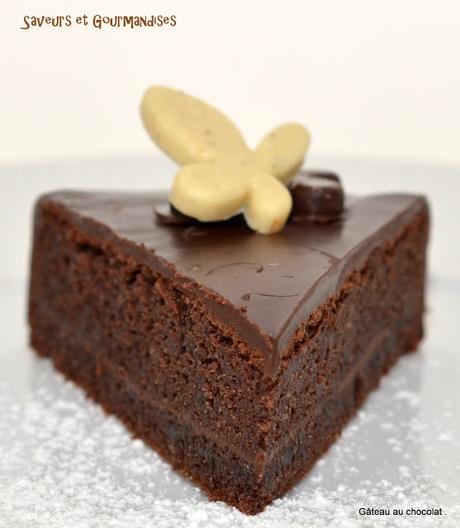 Gâteau Gourmand au Chocolat Bonneterre.