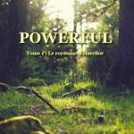 Powerful 1