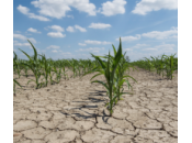 Gouverner n’est pleuvoir…..mais plutôt prévoir