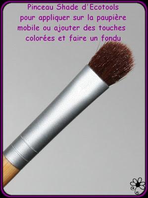 Mes pinceaux Ecotools achetés sur Iherb et ce que j'en fais!