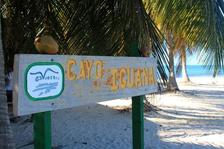 cayo iguana
