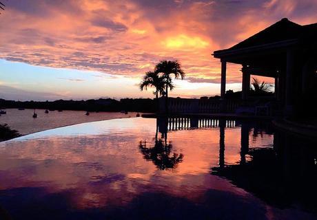 tripadvisor scout life 2016 10 2