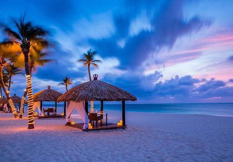 tripadvisor scout life 2016 10 3