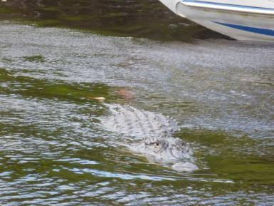 #Floride : 2 semaines de trip à l’américaine !