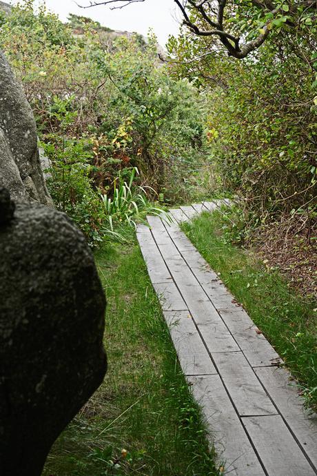 contemporary-cabin_010216_05-800x1200