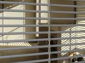 Ligno cerca l'intrado