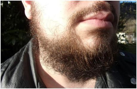 Entretenir sa barbe à l'aide de l'Epine Noire de la Barbe Saine