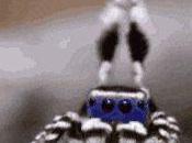 Écologie positive Lavons plus vert