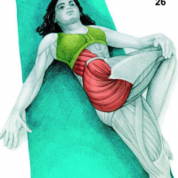 Quels étirements pour quels muscles? Quels étirements pour quels muscles?